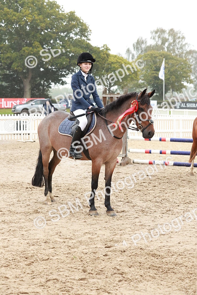 SBM_73562 - Supreme Championship Junior Pony 60cm & 65cm