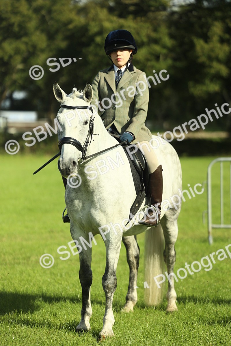 SBM_49832 - S32 - Novice & Newcomers Working Hunter
