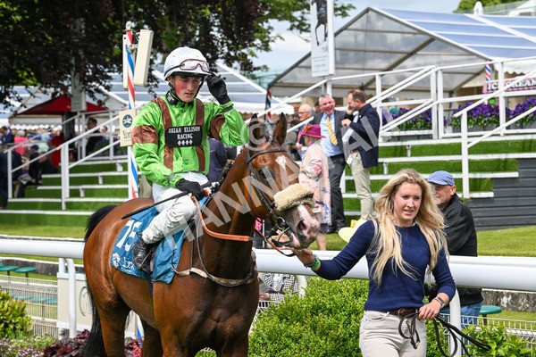 140624-Race 1-Tolstoy-3801 - Race 1 1.50pm Andy Thornton Hospitality Furniture Apprentice Handicap