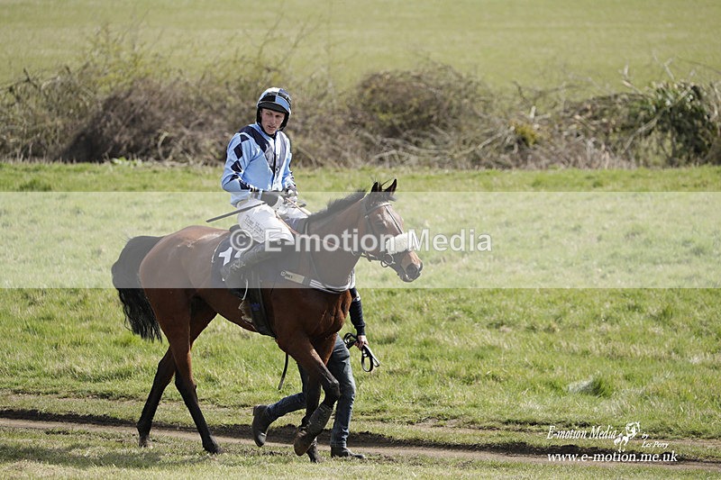 PtP 080423 309 - Dingley Races The Woodland Pytchley Hunt PtP 08/04/23