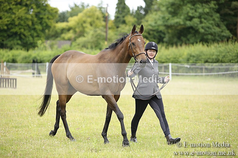 BVR160717-48 - Ring 1 BVRC Show 16/07/17