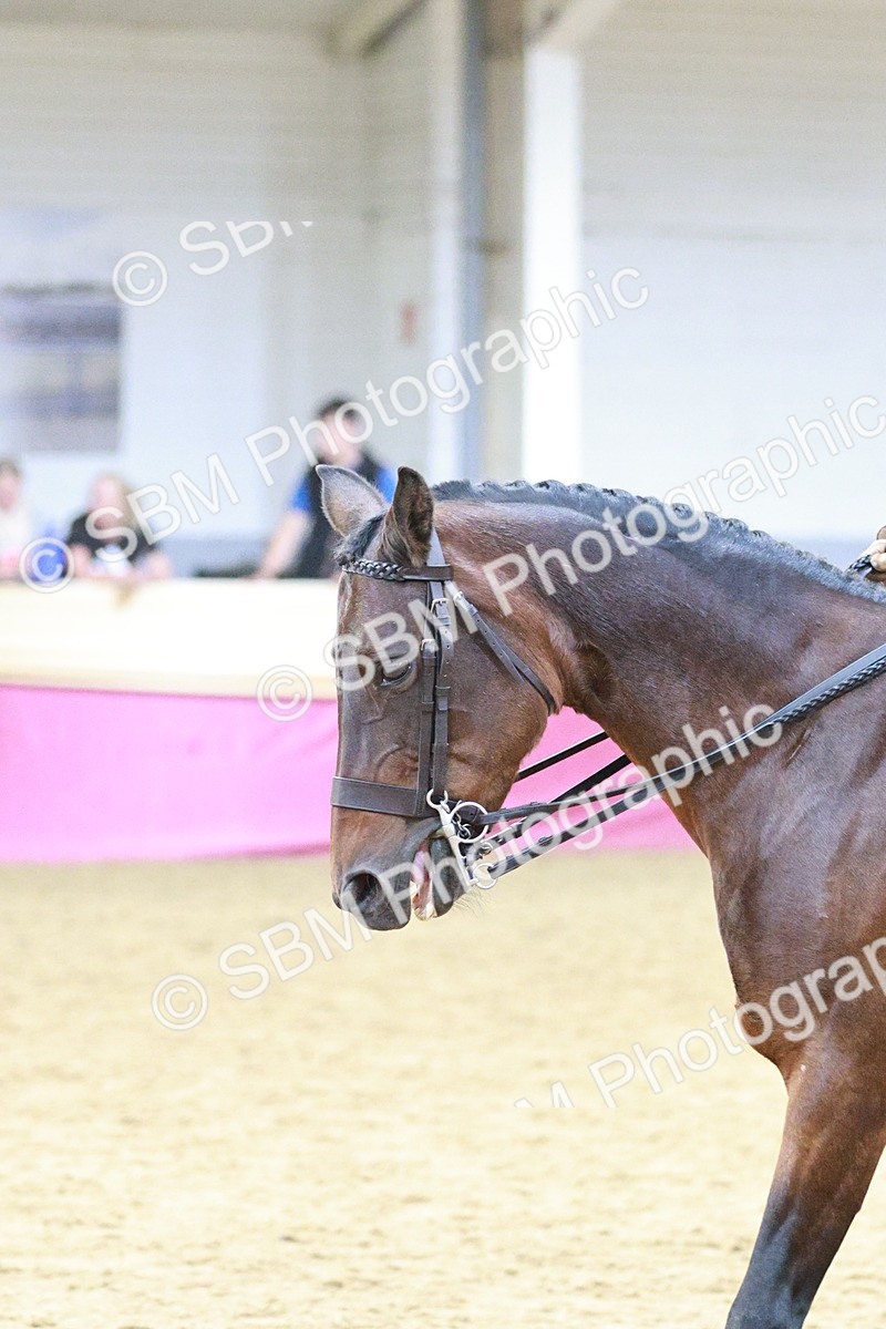 SBM_08228 - Class 11R - Regional Ridden Veteran