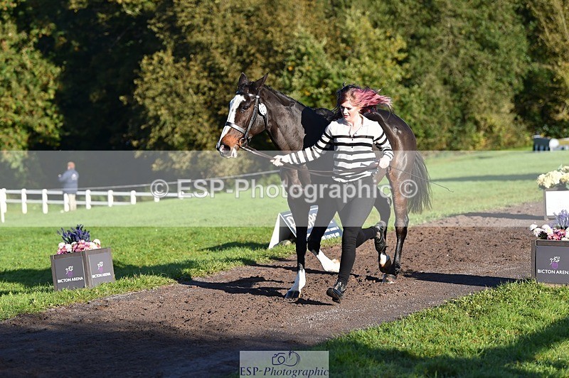 231022-093804-21933 - 427-COMBE.BREEZE-Gemma.Wells-TrotUp+SJ