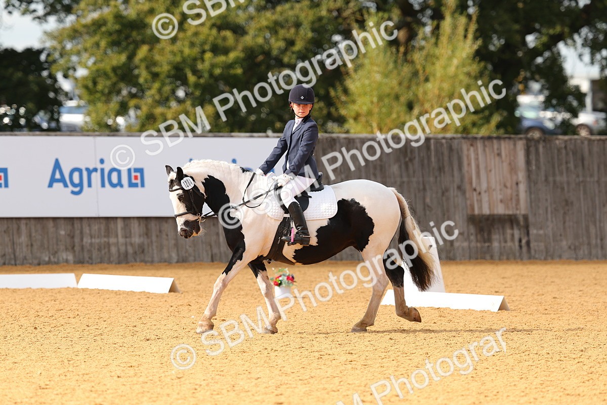SBM_48301 - D22 - Junior Championship - Intro B