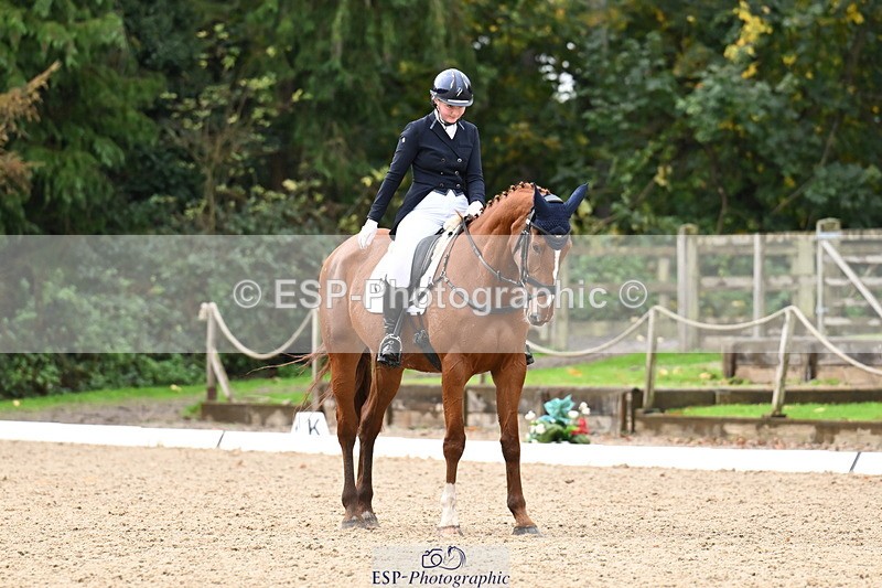 251023A-124412-02315 - B-154-Holly.Law