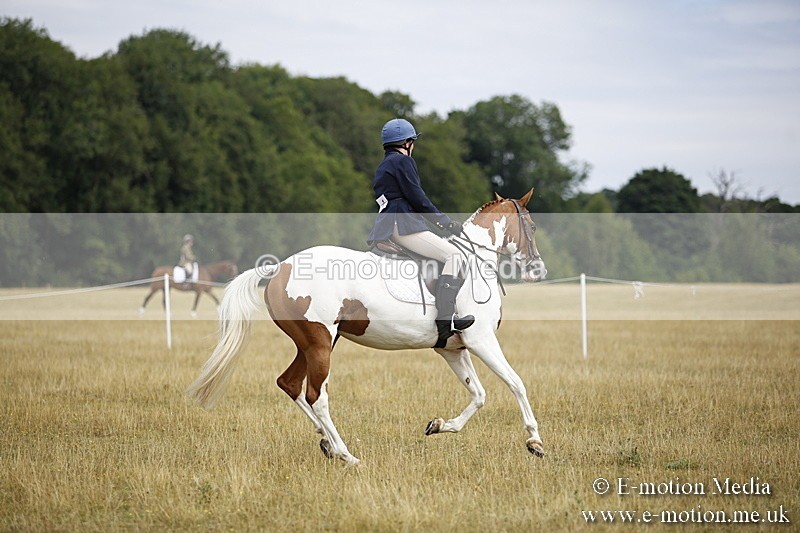 _C7A9537 - BVRC Show 2018 Ring 1