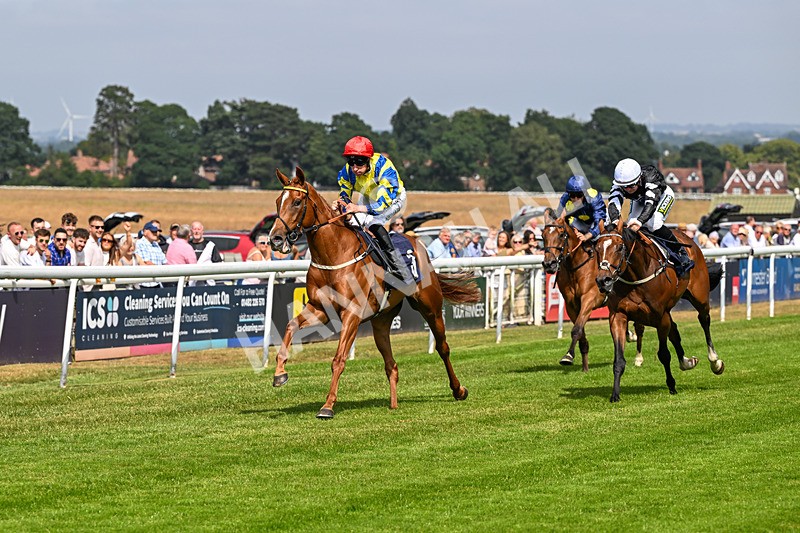 140726-Race 3-Pendella-0370 - Race 3 15.17pm Malcolm Greenslade Doncaster LVA Stalwart Memorial Handicap