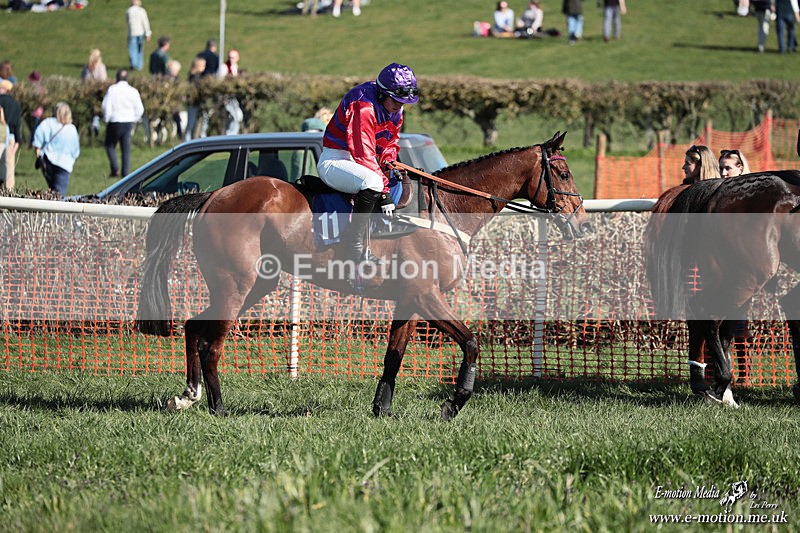 PtP 210326 432 - VWH Cirencester Races 21/03/26
