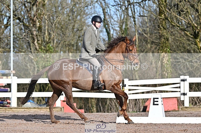 250125-102508-00178 - Dressage - CT Class 4 BE95 (80cm)