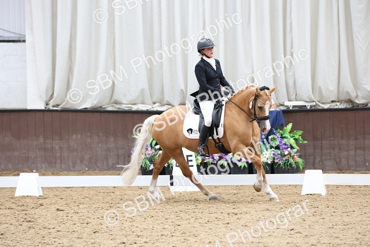 SBM_007551 - Class 23 - Medium FSM Bronze