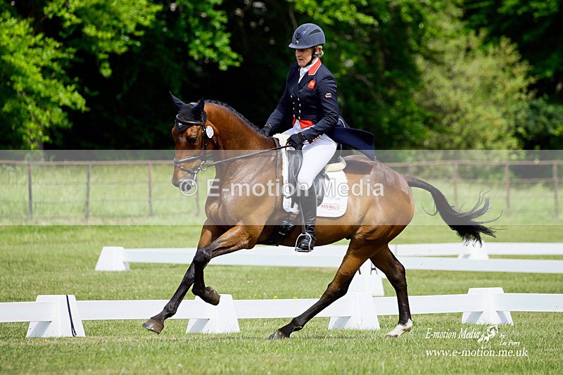 BE 270522 1279a - Equestrian