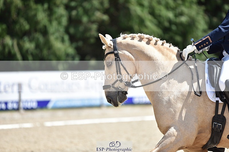 240605-144218-00632 - Cls 9 Adv Medium 92