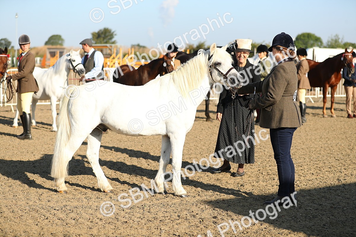 SBM_00016 - Class 40 Best Turned Out IH