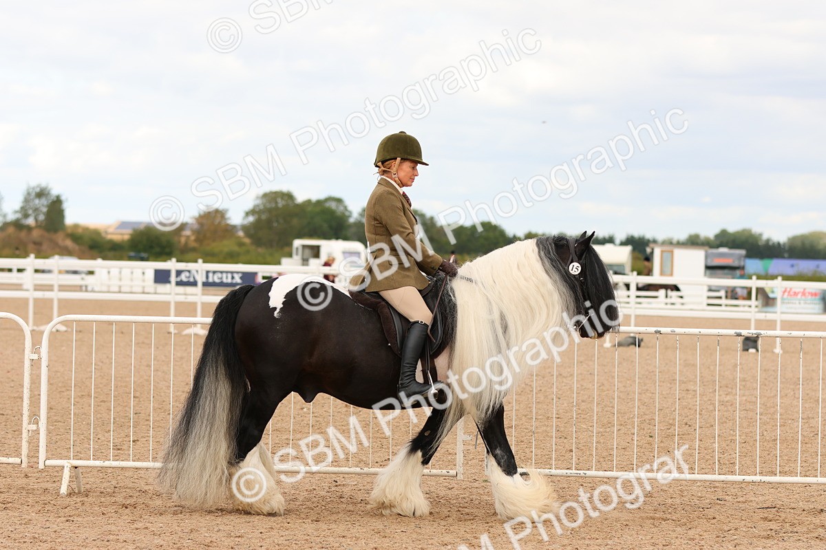 SBM_15641 - Class 215 - Ridden Traditional - Native Cobs