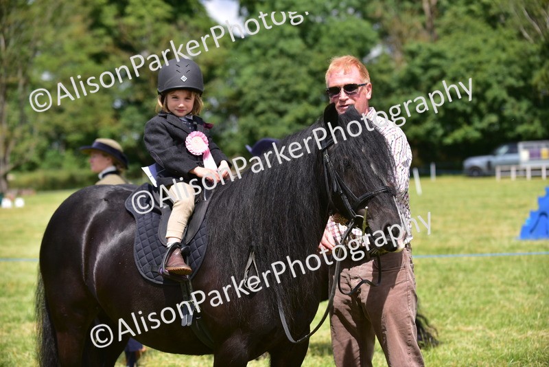 20260614-1345 - Class 11a - Lead Rein Pony (Unplaited)
