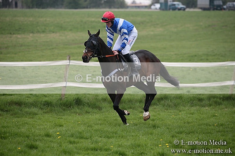 PtP 210418 56 - South & West Wilts Point-to-Point Larkhill 21/04/18