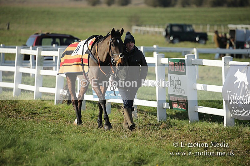 PtP 011219-0021 - Hursley Hambledon Hunt Point-to-Point 01/12/19