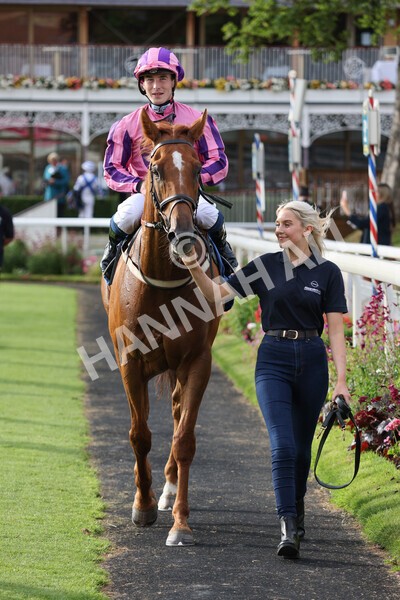 yr23072021r2-39 - Race 2 6.30pm IRE-Incentive It Pays To Buy Irish Stakes