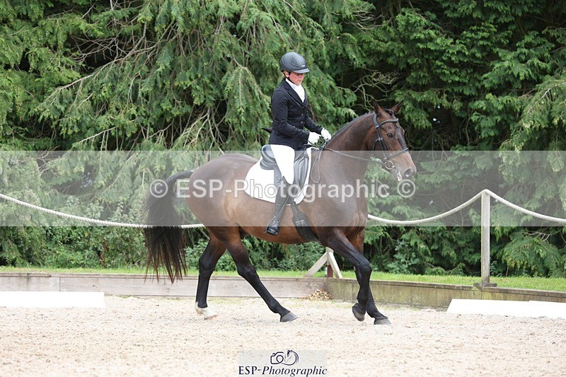 230812-153633-05169 - Cls 5 Novice Bronze 15.00 to End