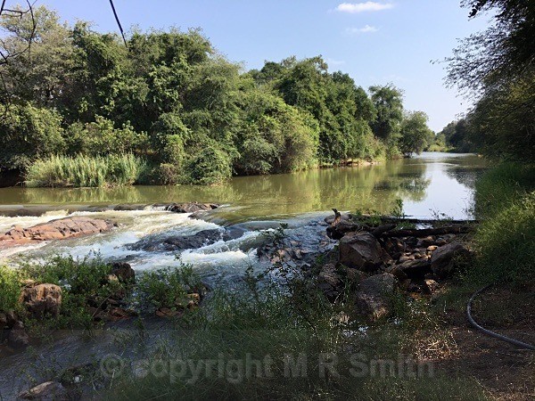 Limpopo River, Bobonong, Botswana - LANDSCAPES & TREES