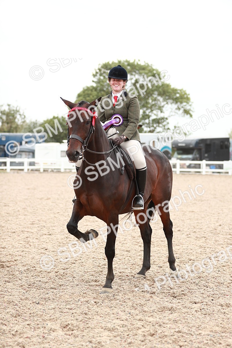 SBM_17642 - Class 215 Ridden Hack/ Riding Horse