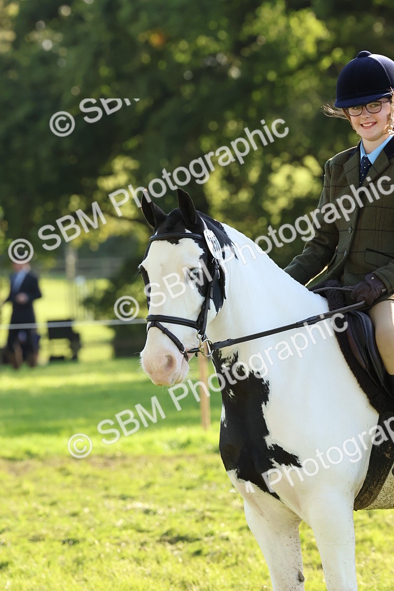 SBM_52664 - S13 - Pony Club Pony