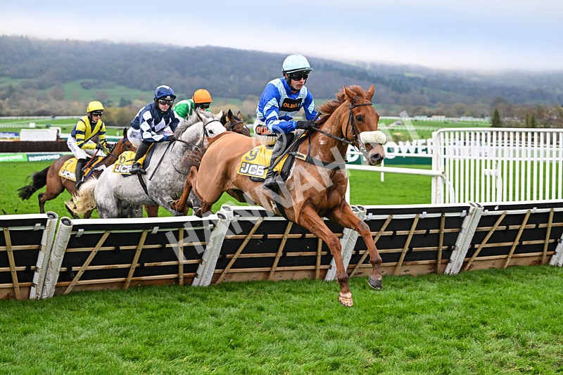 151125-Race 1-One Horse Town-2058 - Race 1