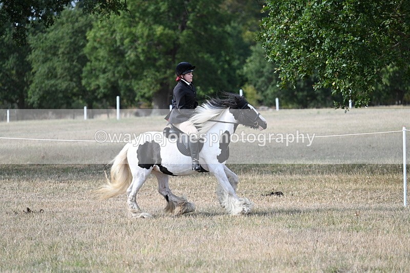 WJ7_7684 - Ridden Championship