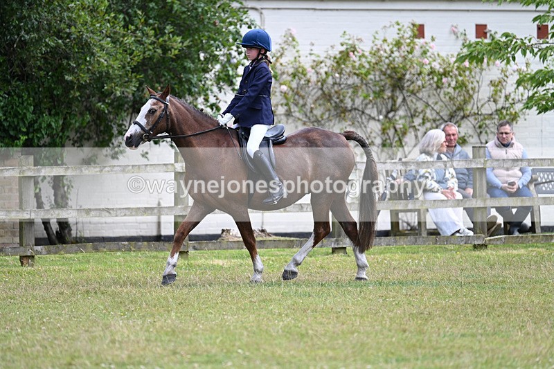 WJ7_9623 - Class 8 Ridden Veterans