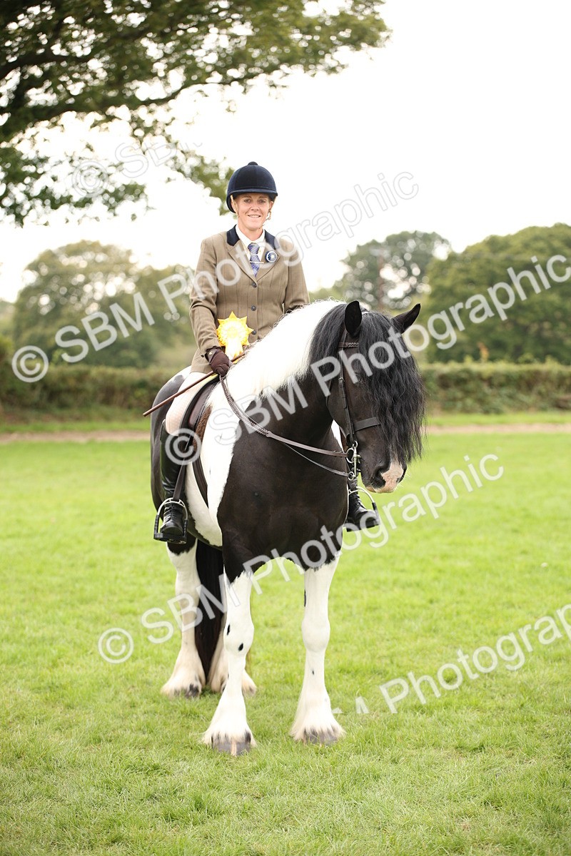 SBM_73585 - S68 - Traditional Cob Ridden