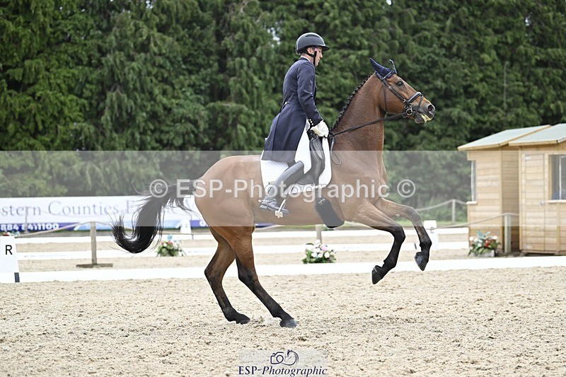 240523-161440-05429 - 443-FIGARO_DES_PREMICES-Alexander_Peternell