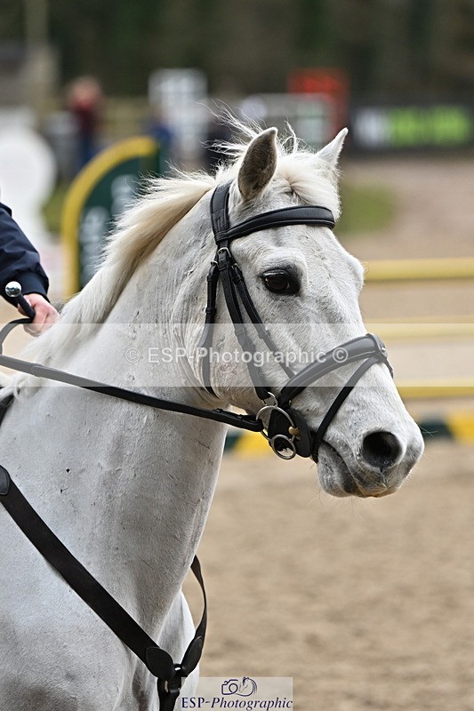 250201A-135339-00907 - Cls 03 Local Horse 110cm