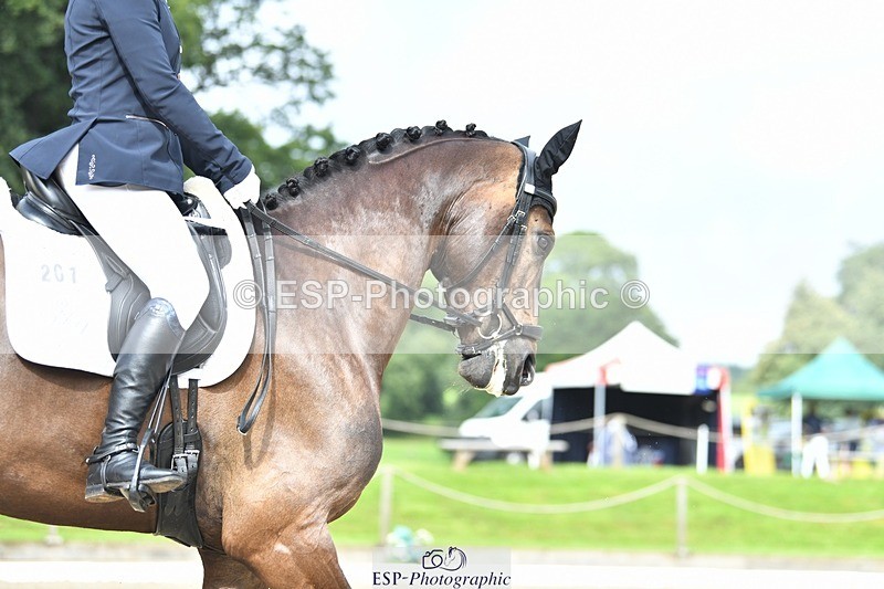 230812-104546-03465 - Cls 6 Novice Silver 10.30 to 11.55 break