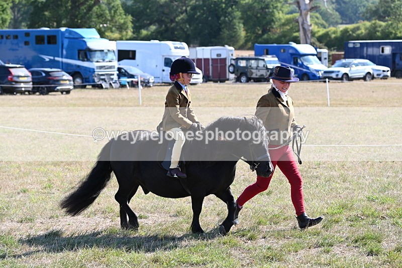 WJ6_7434 - Class 34 Judges Choice