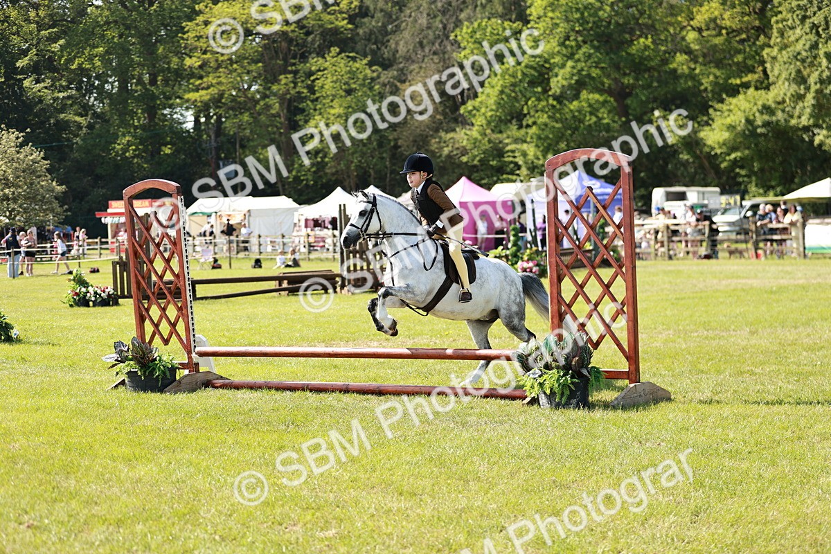 SBM_12717 - Class 106-107 - BSPS LIHS Working Sports Pony