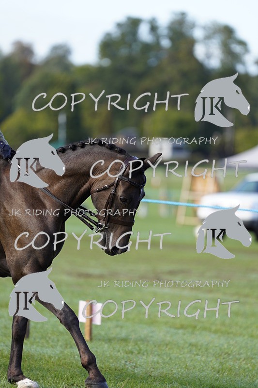 _DSC9352 - Class 8 & 17 Ridden Hunter & Ridden Hunter Pony