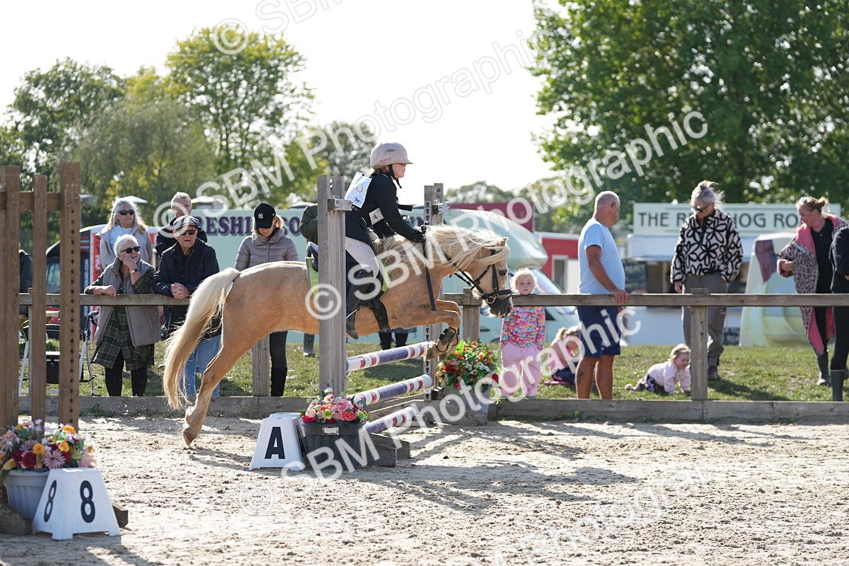 SBM_49279 - J8 - Junior Pony 65cm Championship