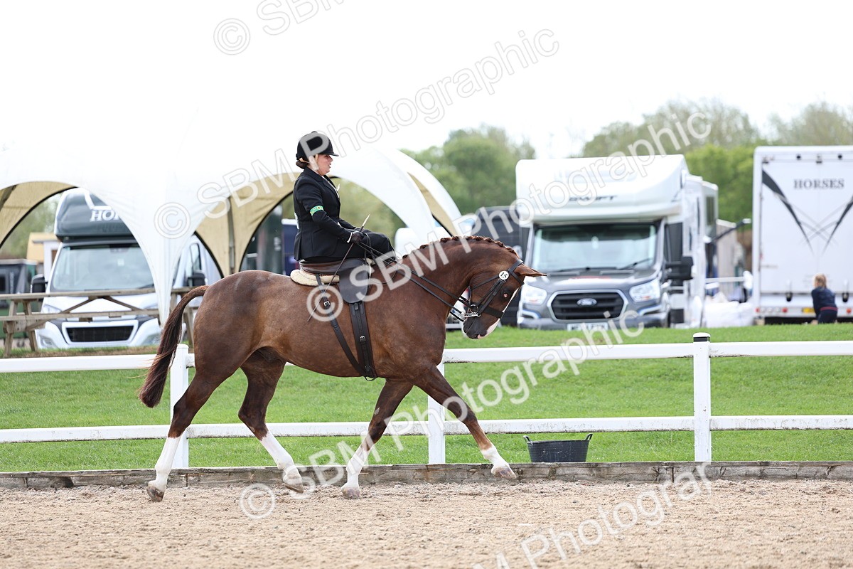 SBM_03179 - Class 22 - SSA Equitation (any age)