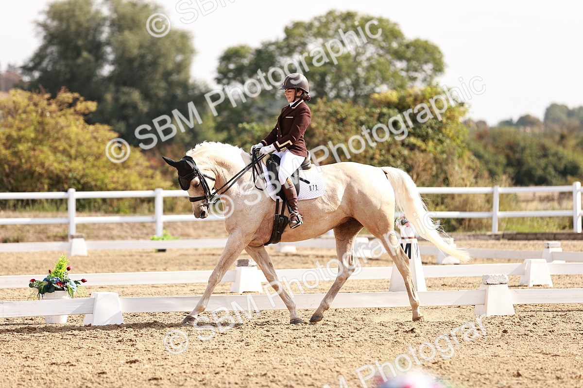 SBM_017010 - Class 10 - Medium 6