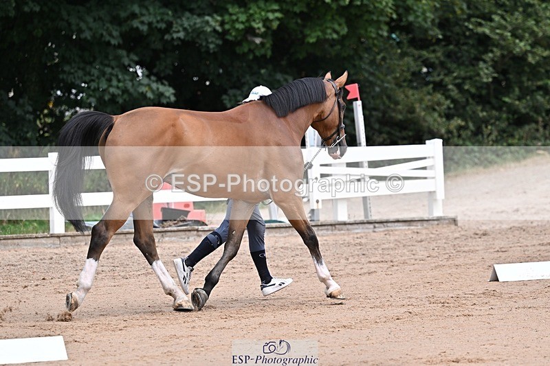 250716-130235-00280 - Trot Up 12.30 to 1.30