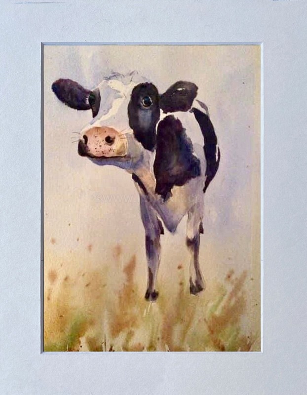 Who me? SOLD - Widlife/Nature