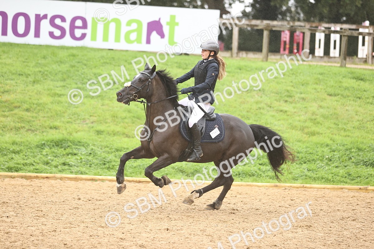SBM_73570 - J19 - Junior Horse & Pony 90cm Supreme championship