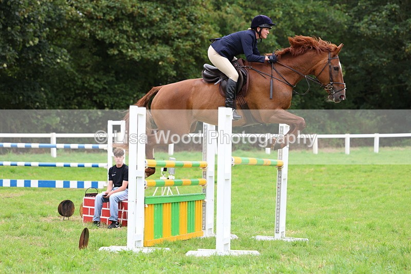 3E7A8378 - Class 8: Senior Foxhunter/1.20m open