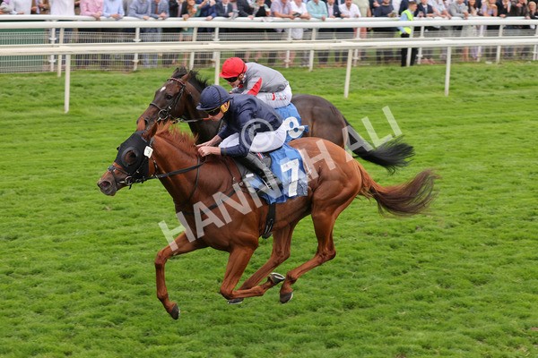 yr20082021r7-27 - Race 7 5.10pm Sky Bet Mile