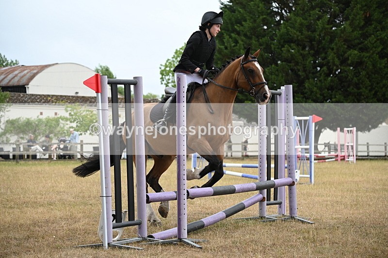 WJ6_0165 - Class 13 Novice Jumping 60cm
