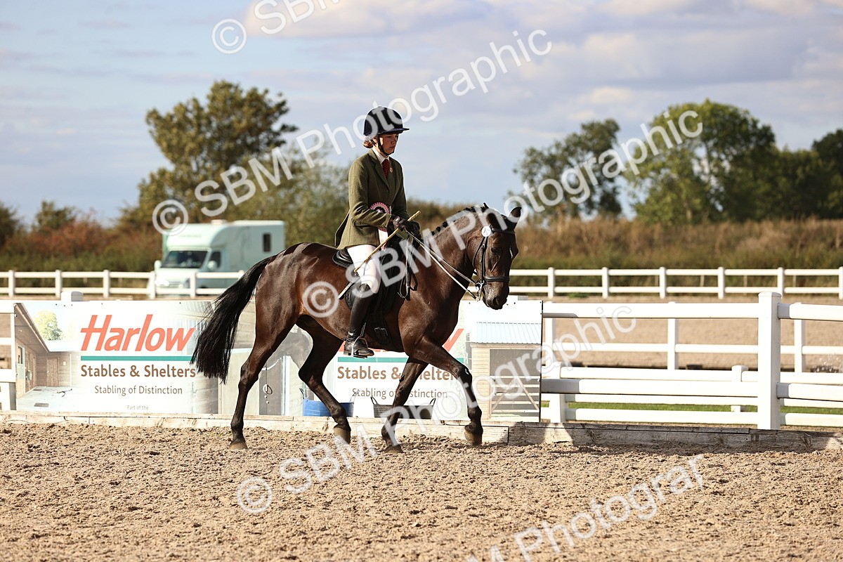 SBM_18308 - Class 423 - Equitation (best rider) Adult