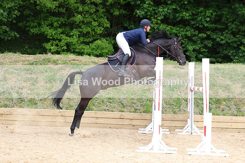 3E7A7530 - Class 8: Senior Foxhunter/1.20 open