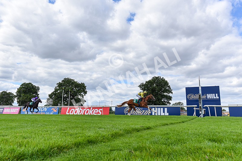 020825-Race 2-Zeus Olympios-8101 - Race 2