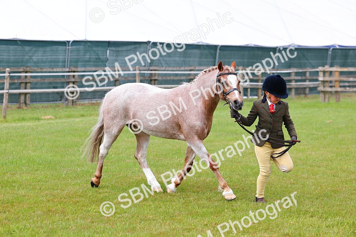SBM_09442 - Class 44-45 - LIHS BSPS Open Nursery and Cradle Stakes