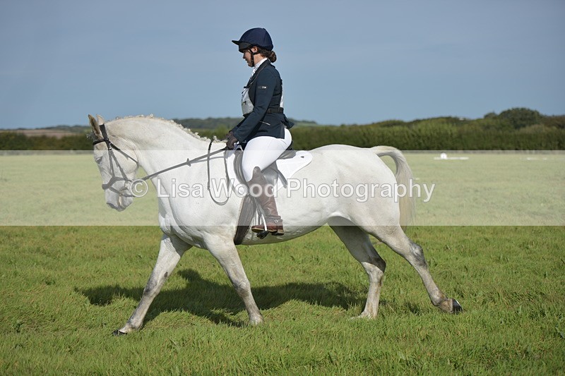 RAY_8131 - Class 2B: Trekenning Open: Dressage
